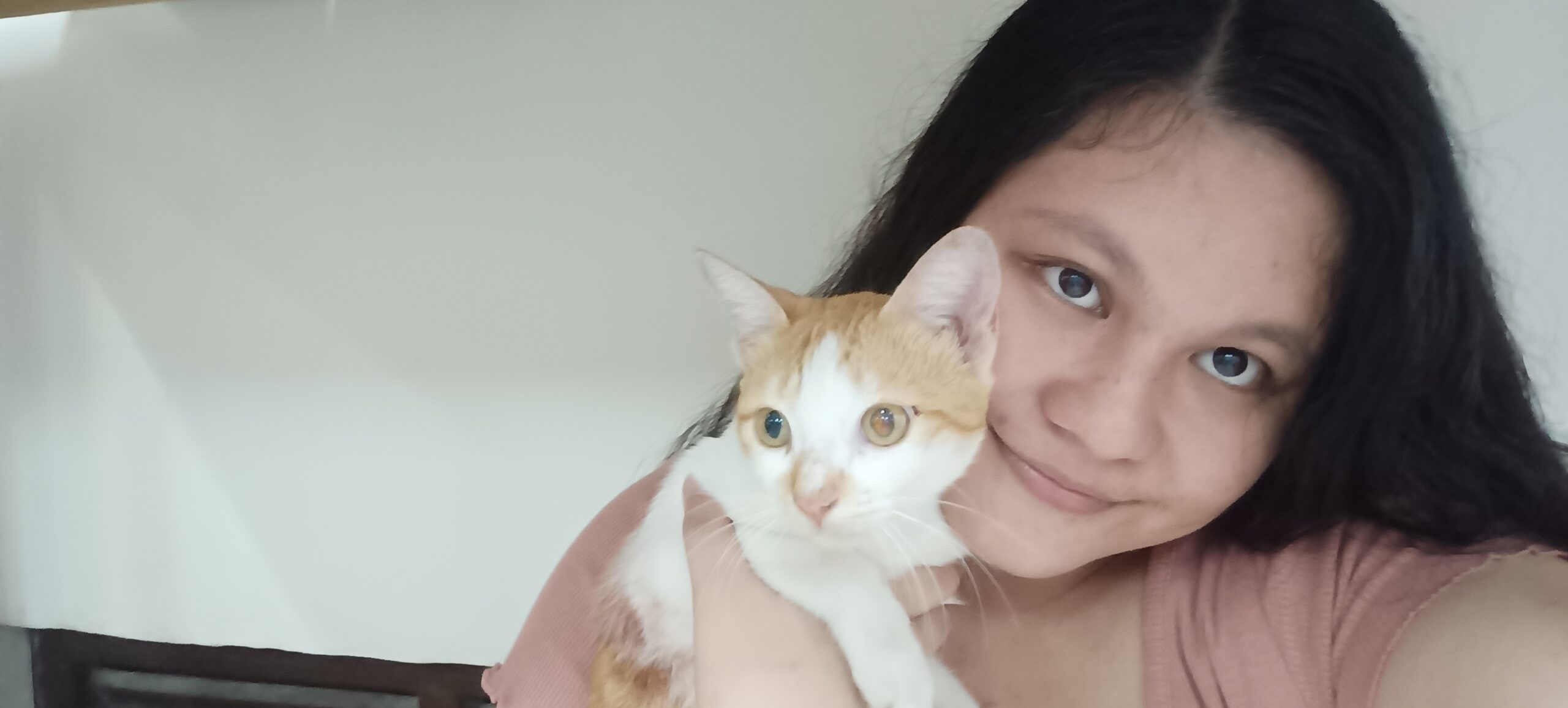 Every Paw Matters: A Call for Compassion